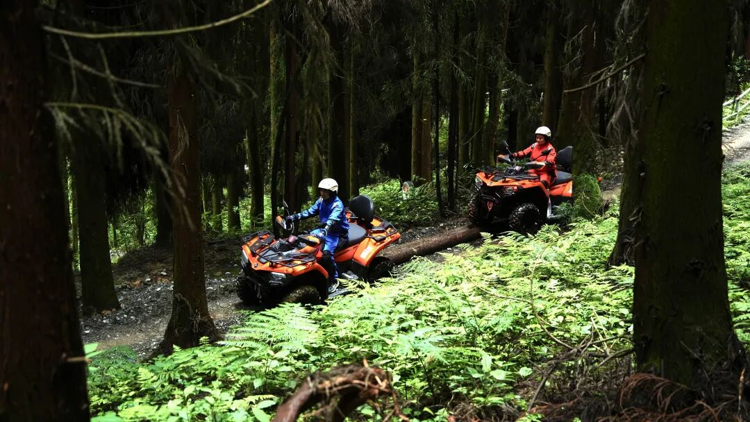 单日12万人次打卡药市、千万级赛事消费……“彭派生活”火了！插图6