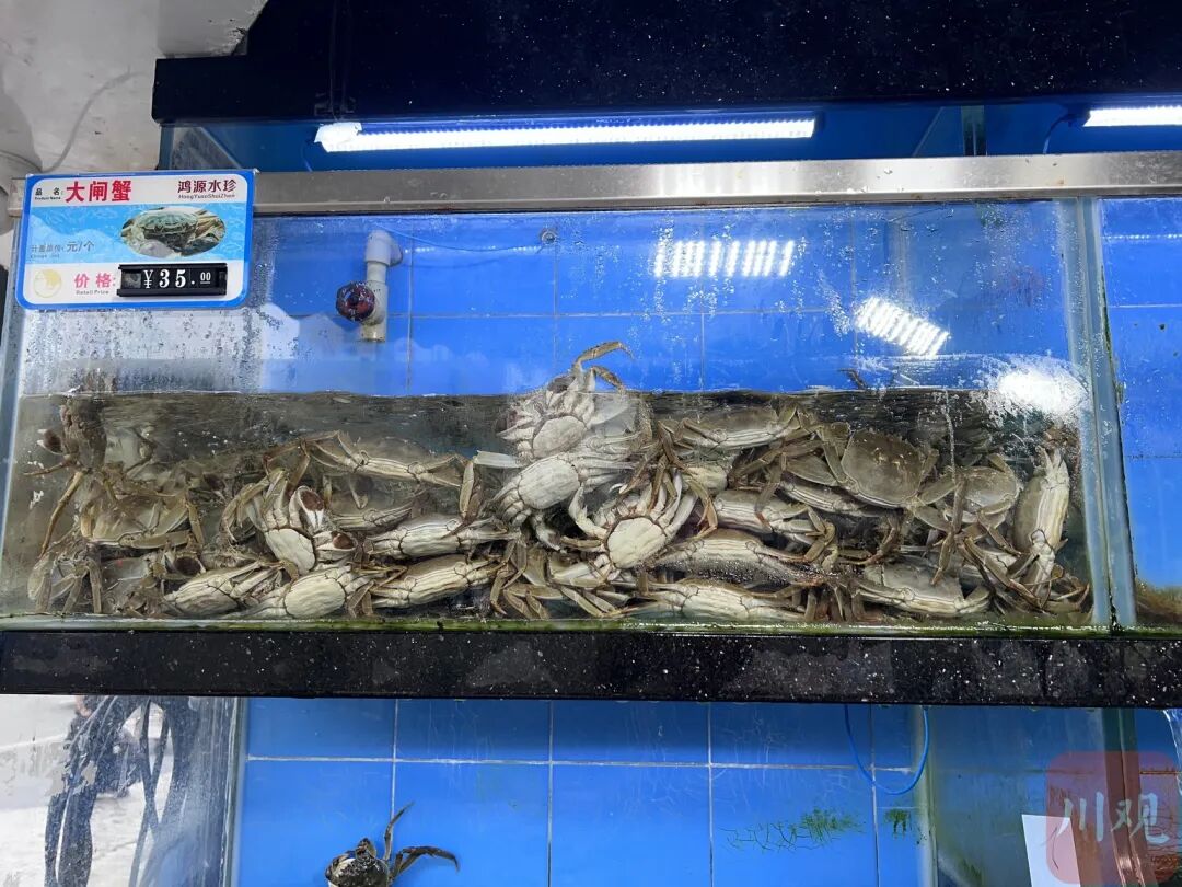 价格降了！你爱吃的它，即将大量上市……插图2