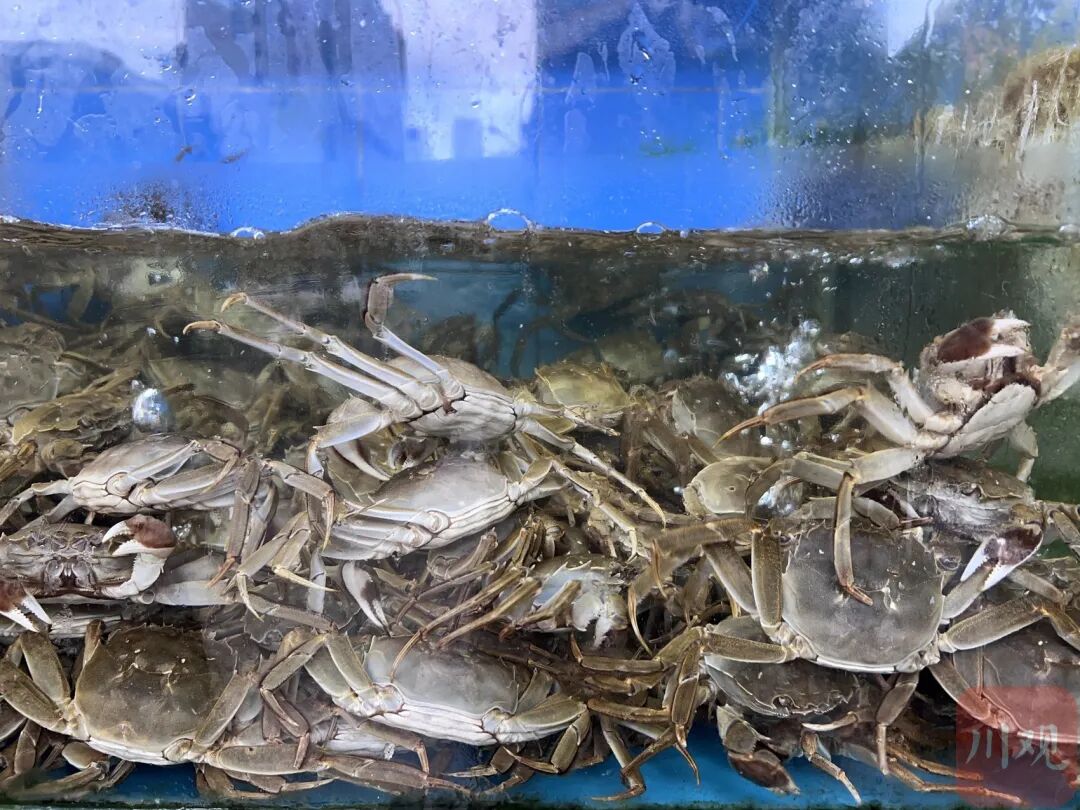 价格降了！你爱吃的它，即将大量上市……插图1