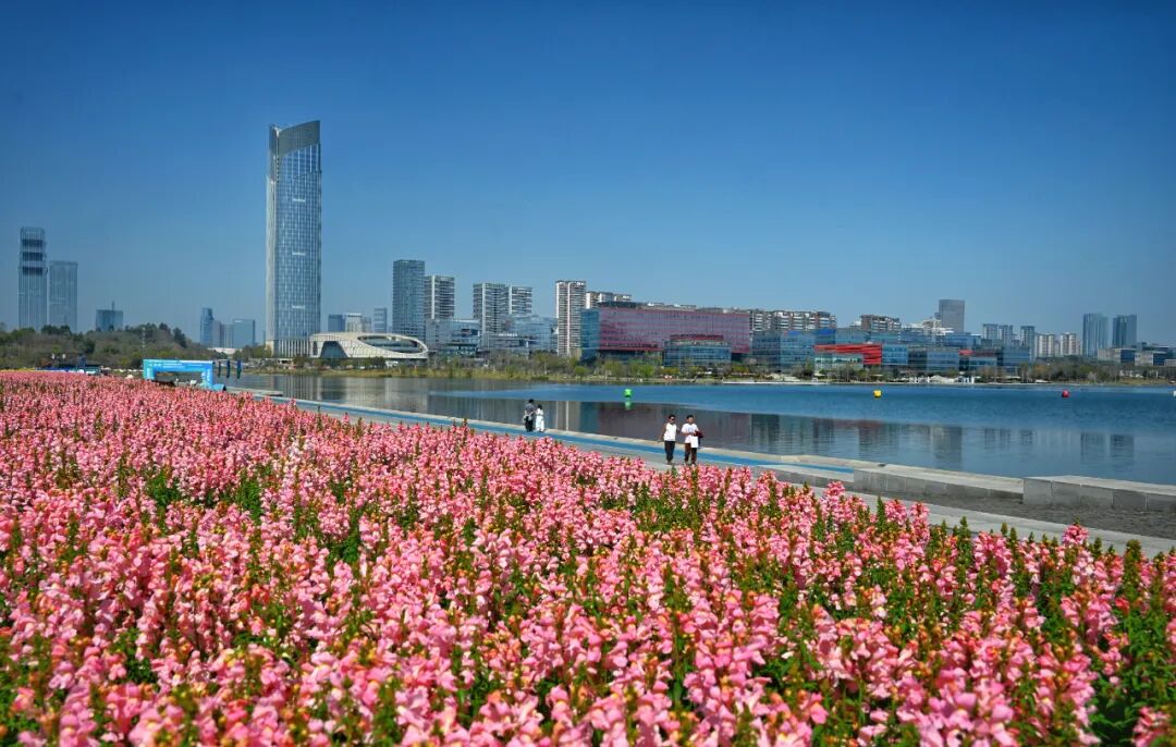 定了，预计6月25日晚查分！毕业旅行，安排→插图78