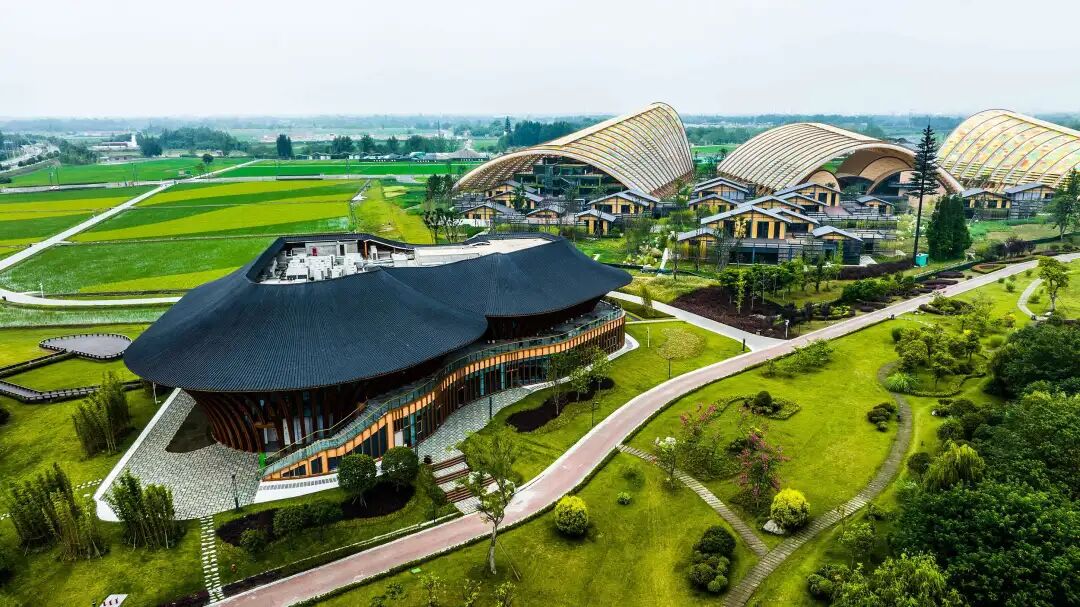 曹立军在新津区调研插图4