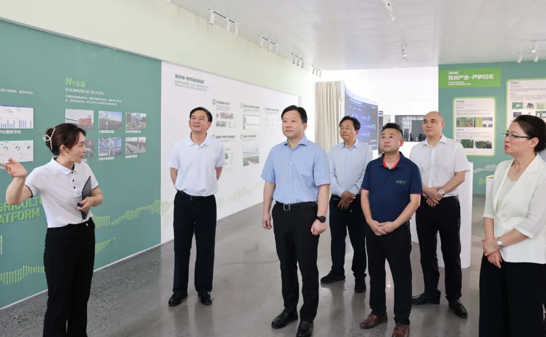 曹立军在新津区调研插图2