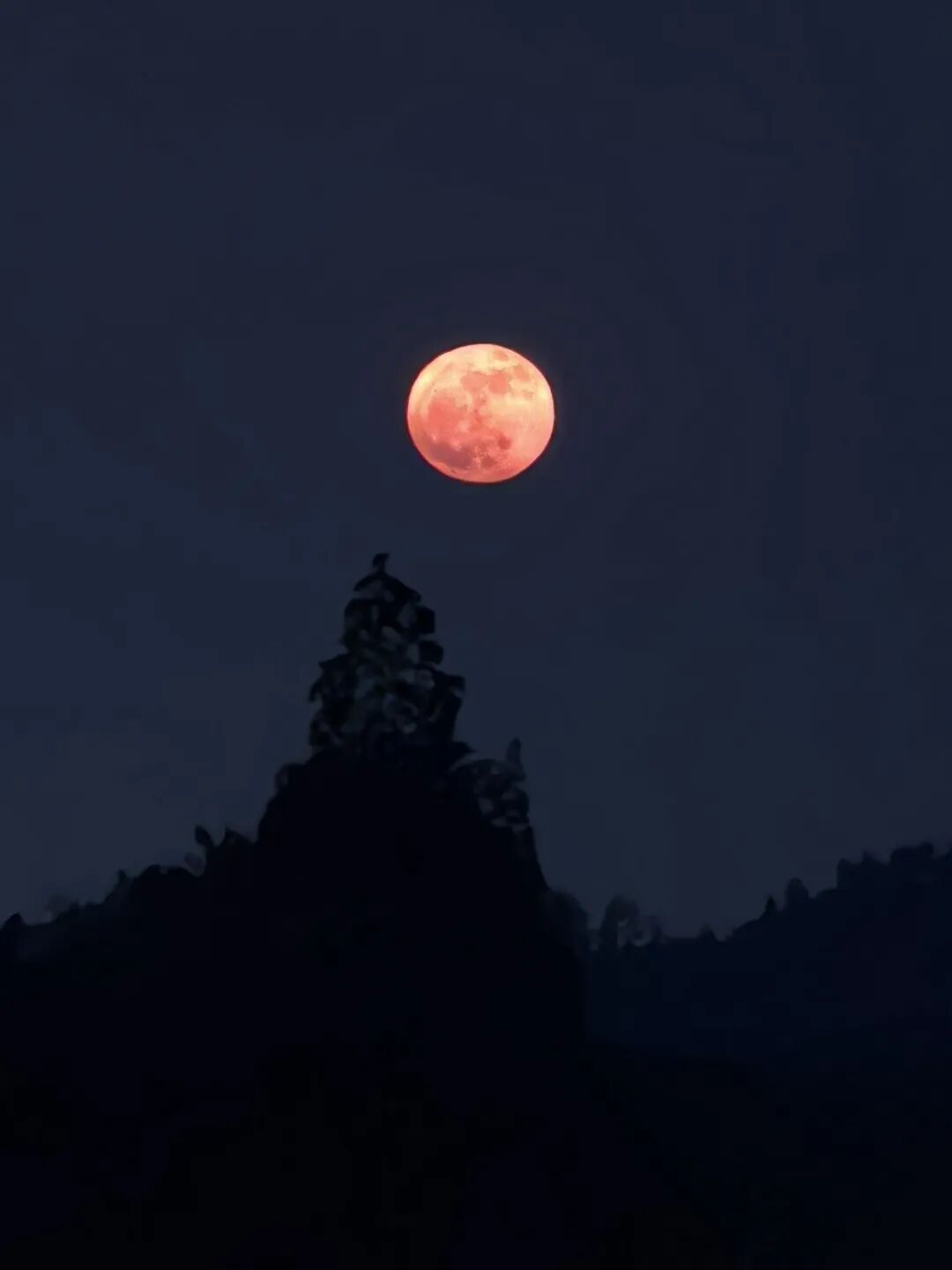 快抬头！天上有个红月亮插图6