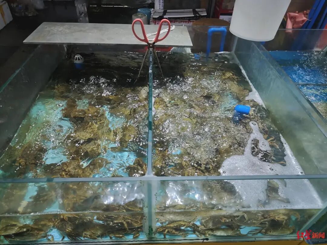 🦀价格将下降！即将大量上市，你爱吃吗？插图2