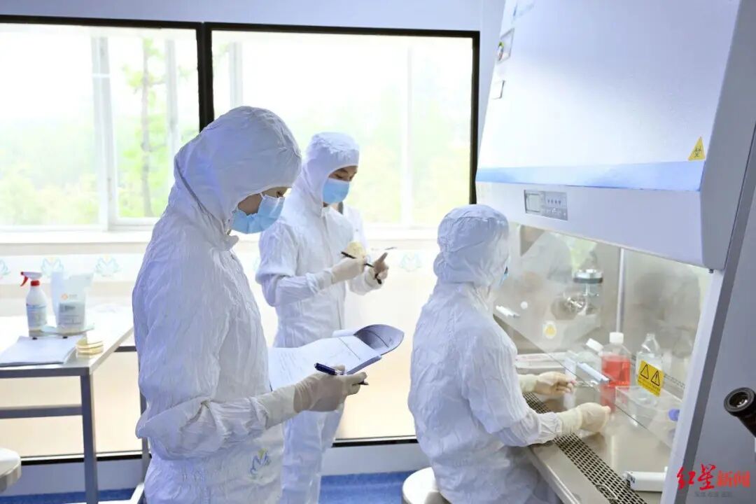 全球首个！又一“成都造”创新药获批临床试验插图4