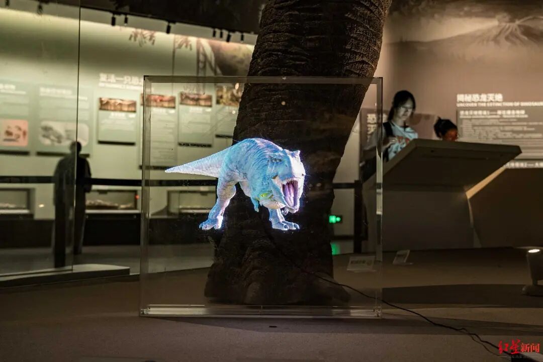 科技+文旅！今日，成都机器人场景“大练兵”→插图13