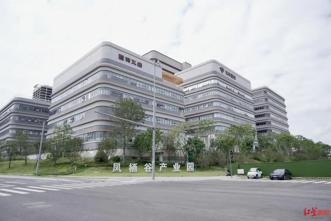 园区职工子女暑期没人照看？“官方带娃”安排→插图3