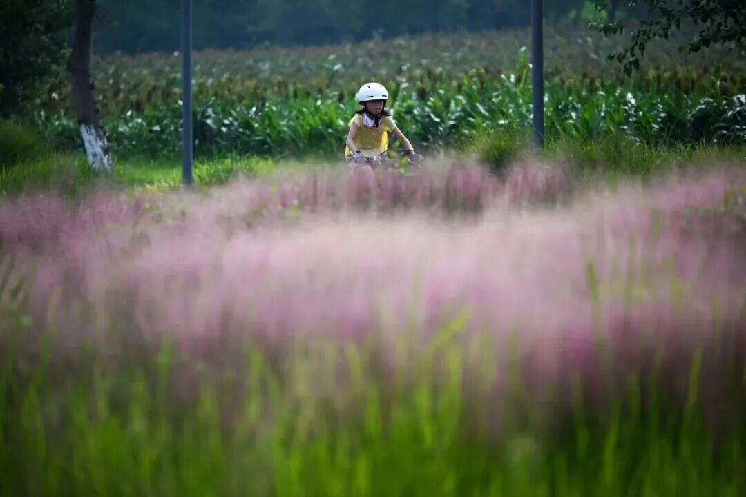 原来“浪浪山”目的地就在成都！插图7