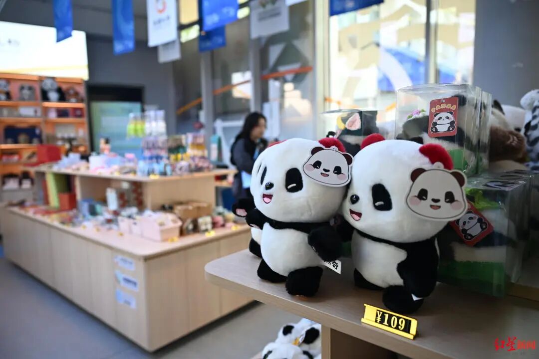 外国运动员开启买买买模式！最受欢迎的“成都礼物”是……插图1