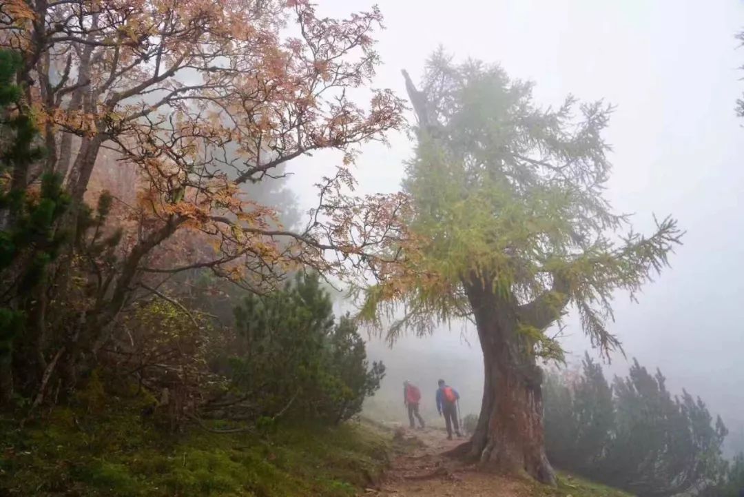 遺世獨立的多洛米蒂，正在迅速成為網紅勝地，你知道嗎？ 旅遊 第34張