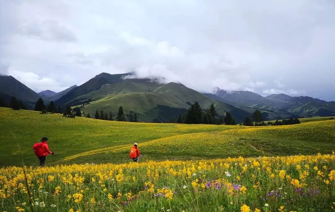 瞻仰神山，行走花海——第一屆格聶徒步大會 旅遊 第20張