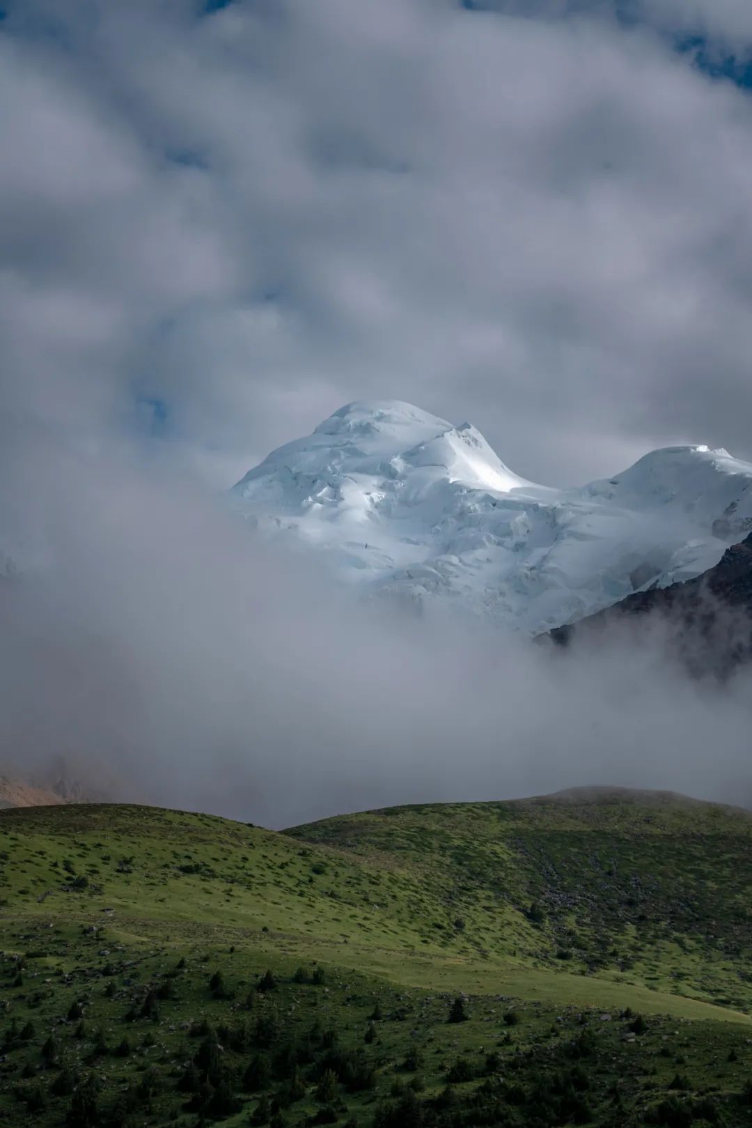 瞻仰神山，行走花海——第一屆格聶徒步大會 旅遊 第6張