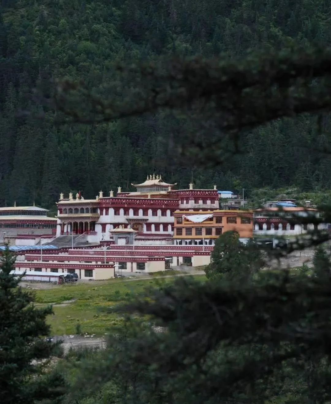 瞻仰神山，行走花海——第一屆格聶徒步大會 旅遊 第12張