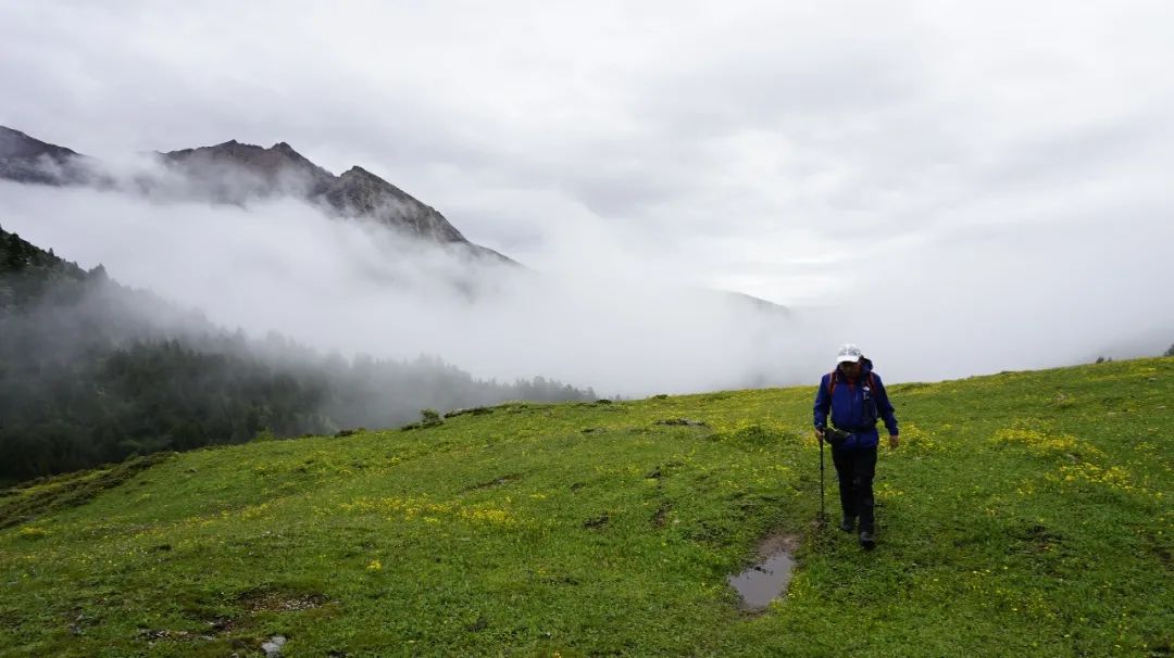 瞻仰神山，行走花海——第一屆格聶徒步大會 旅遊 第18張