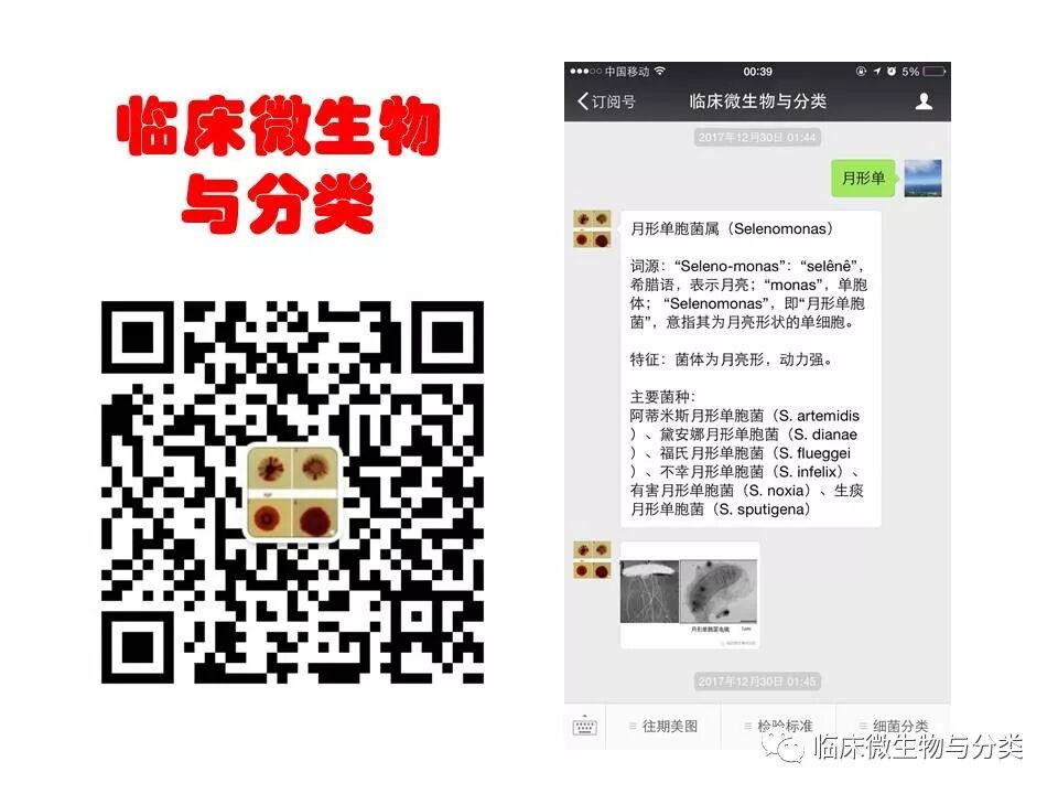 BV唾液酸酶是什么加德纳属修订：3个新种及13个基因种_https://www.jmylbn.com_新闻资讯_第5张