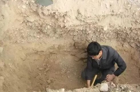 土壤剖面调查技术要点的图3