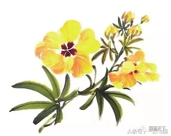 写意秋葵的画法 国画天下 微信公众号文章阅读 Wemp