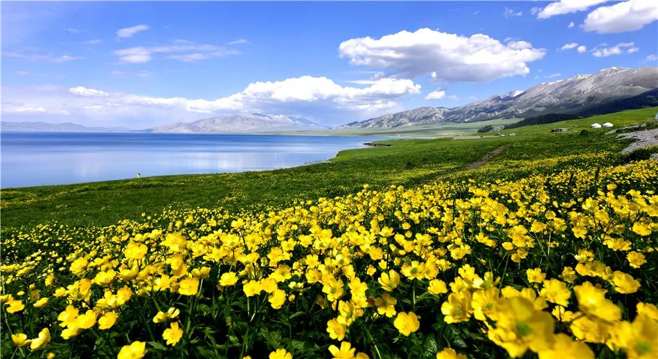 赛里木湖超全旅游攻略，快收藏~