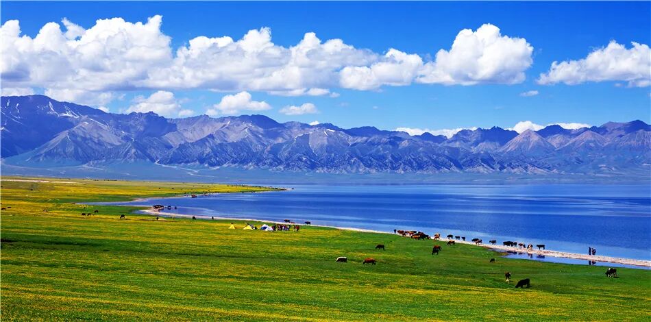 赛里木湖超全旅游攻略，快收藏~