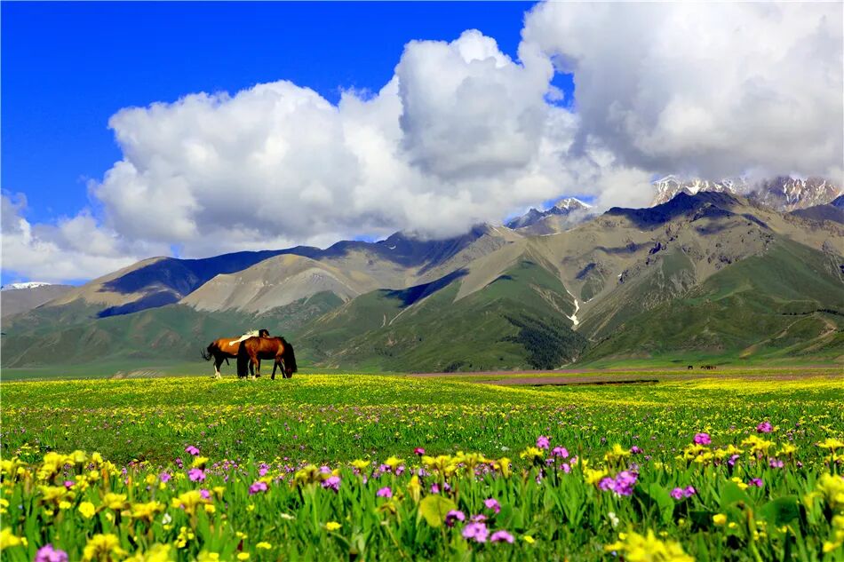 赛里木湖超全旅游攻略，快收藏~