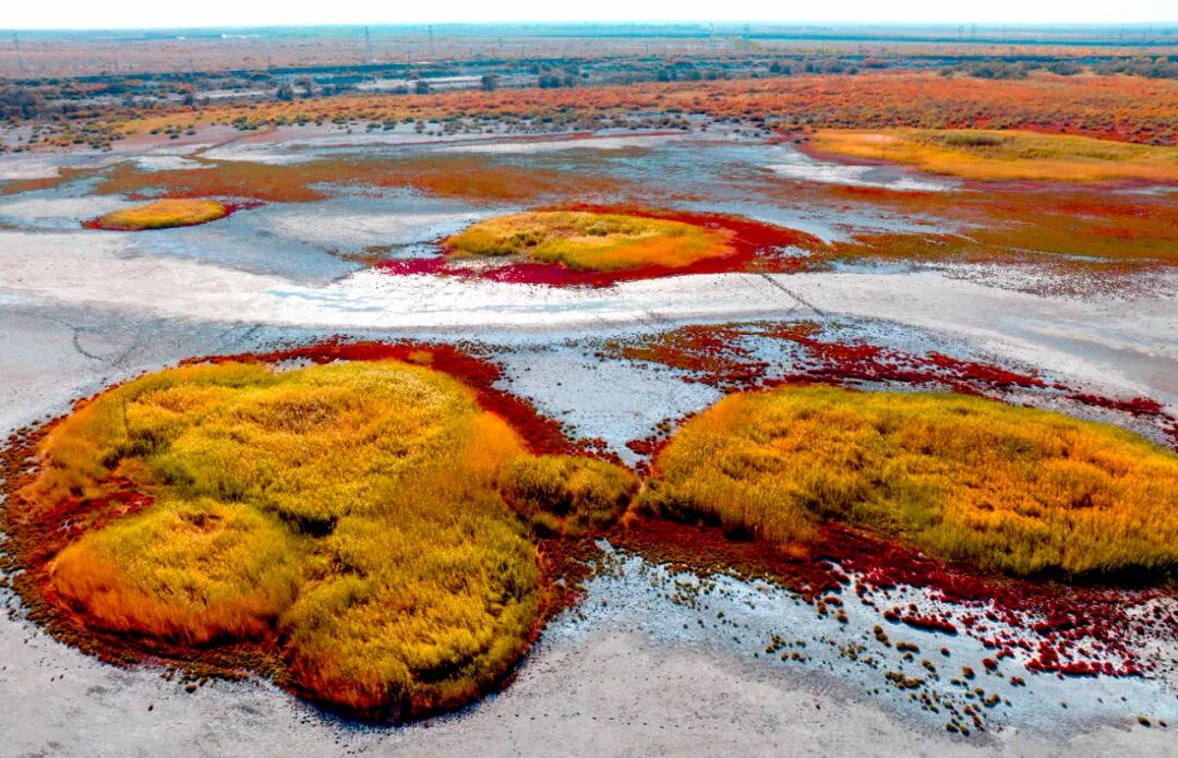 秋日艾比湖色彩斑斓令人心醉
