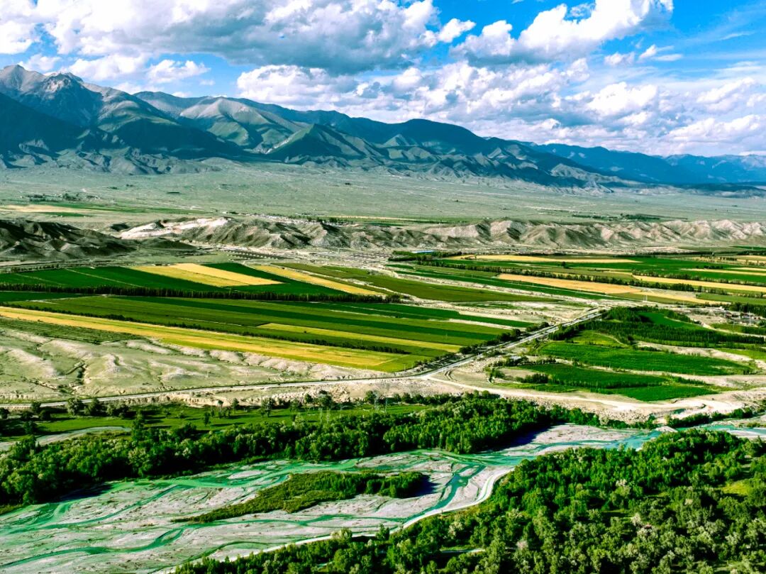 田野大片这就是博州最美的颜色