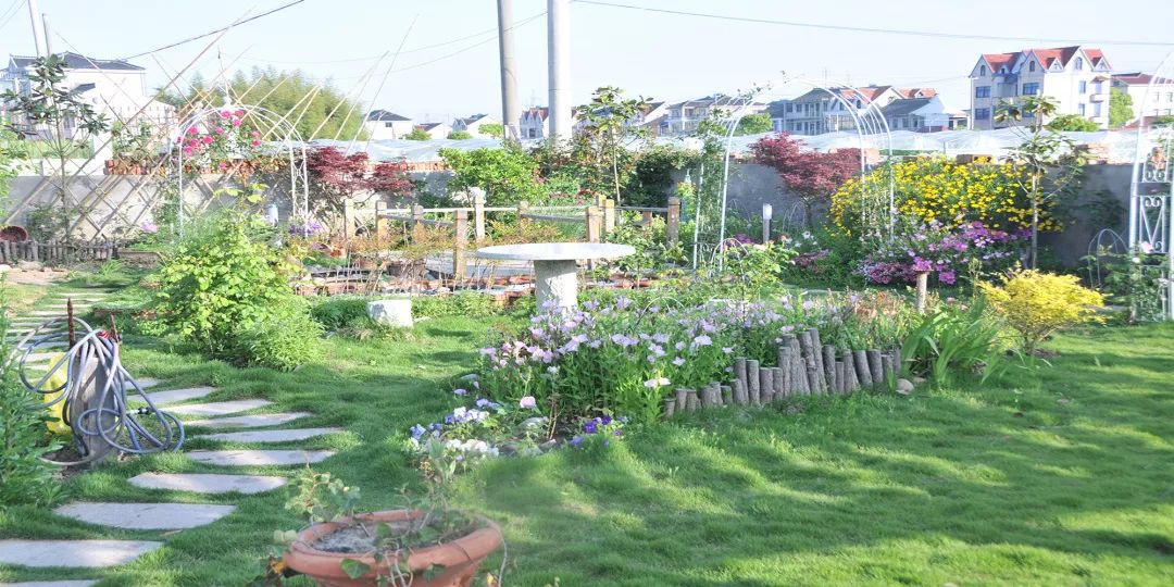 78歲爺爺改造荒廢院子，為孫女建起一片花園 家居 第15張