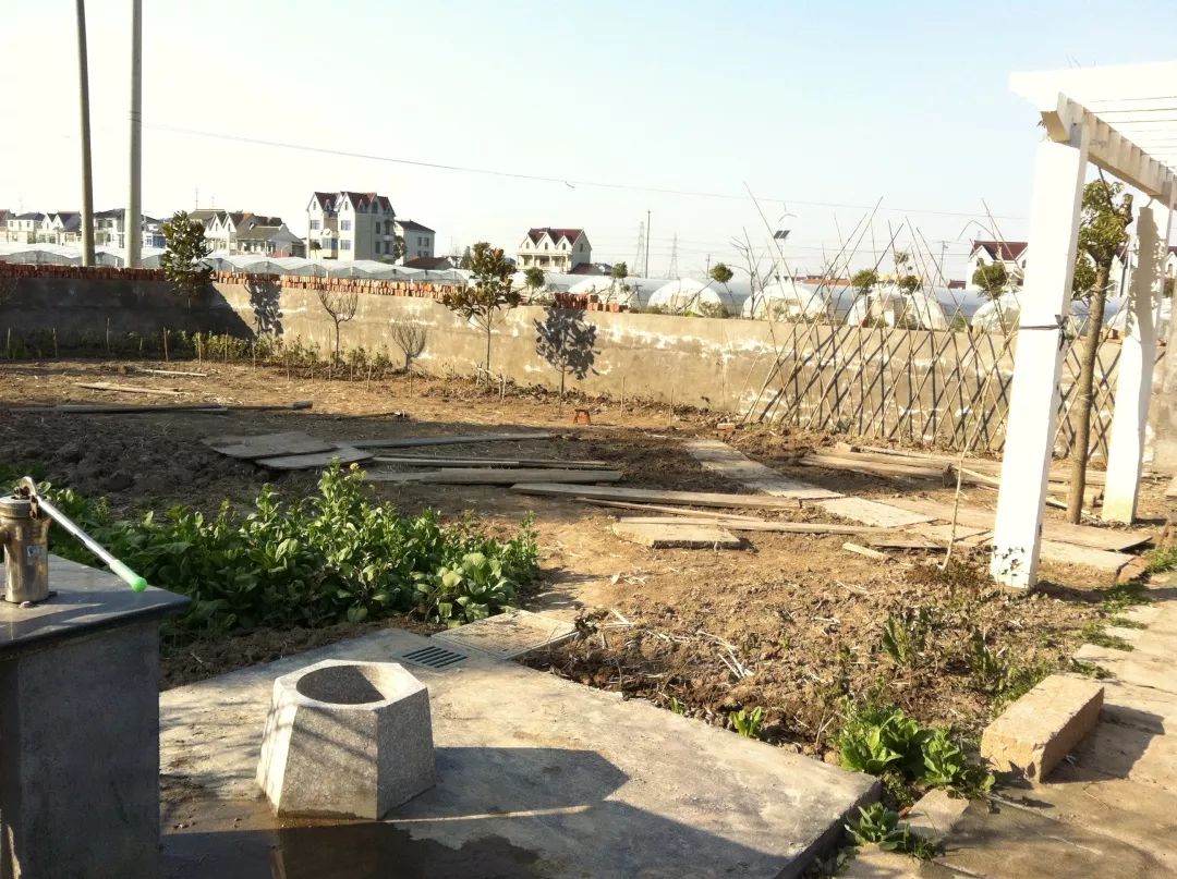 78歲爺爺改造荒廢院子，為孫女建起一片花園 家居 第14張