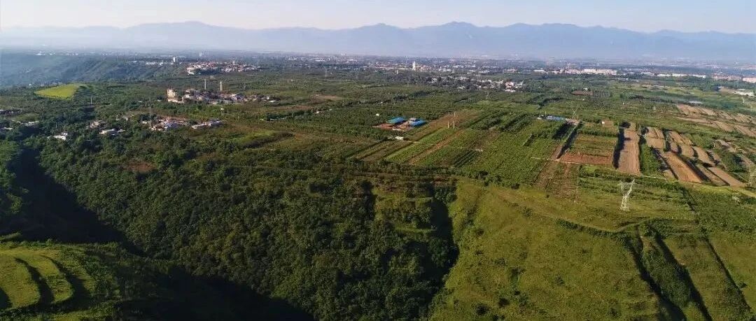 重大发现！汉文帝霸陵，找到了！