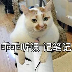 小球经验心得_心得和经验有什么区别_心得经验总结