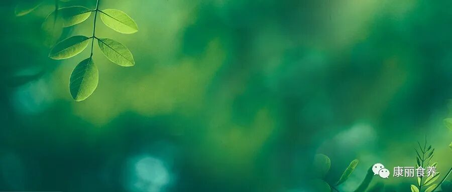 关于女性防脱发，真正有效的方法只有一个