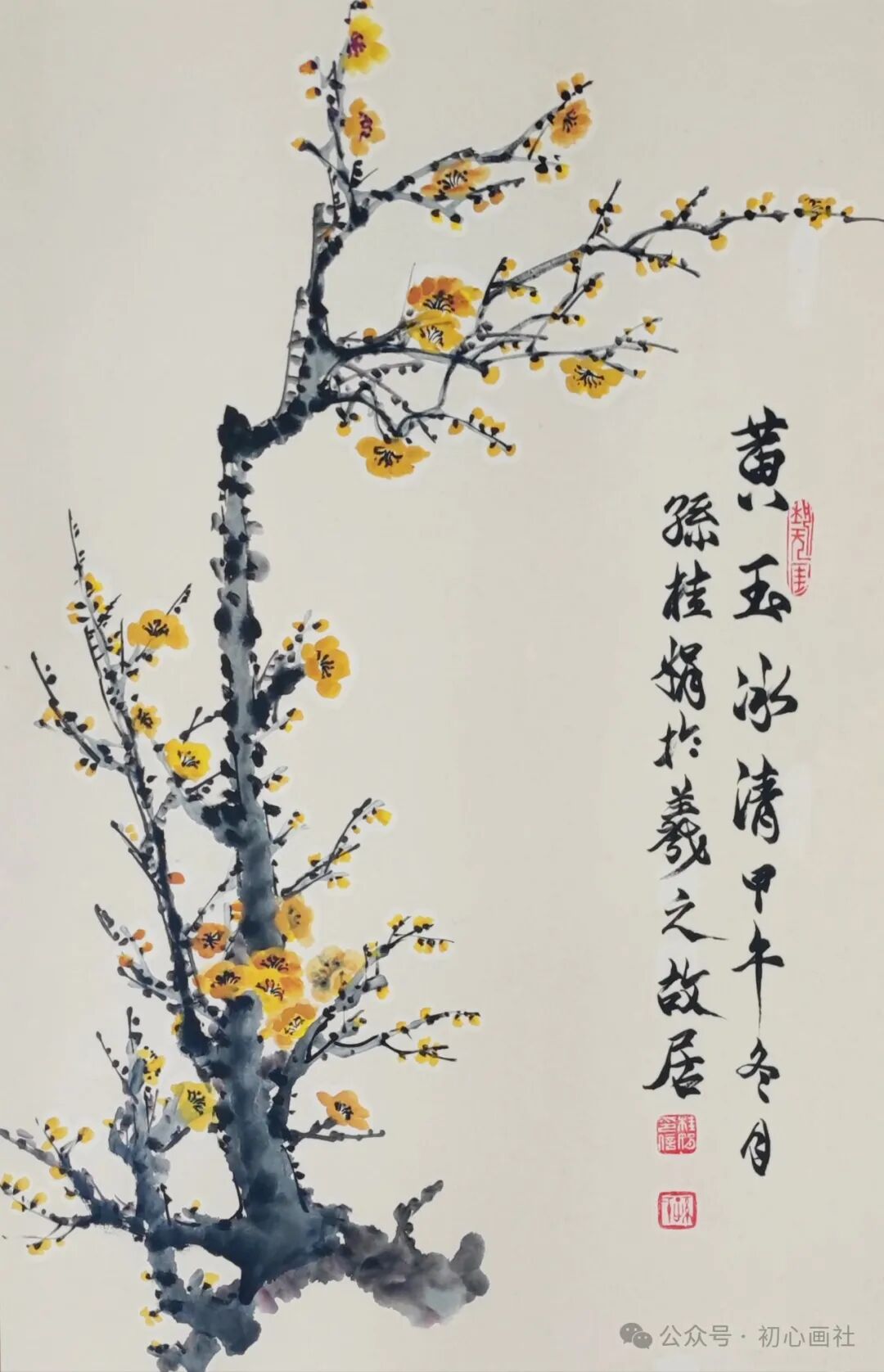 x50cm  广西桂林曼丽《牡丹》50x100cm  陕西枫桥《木棉花》33x66cm