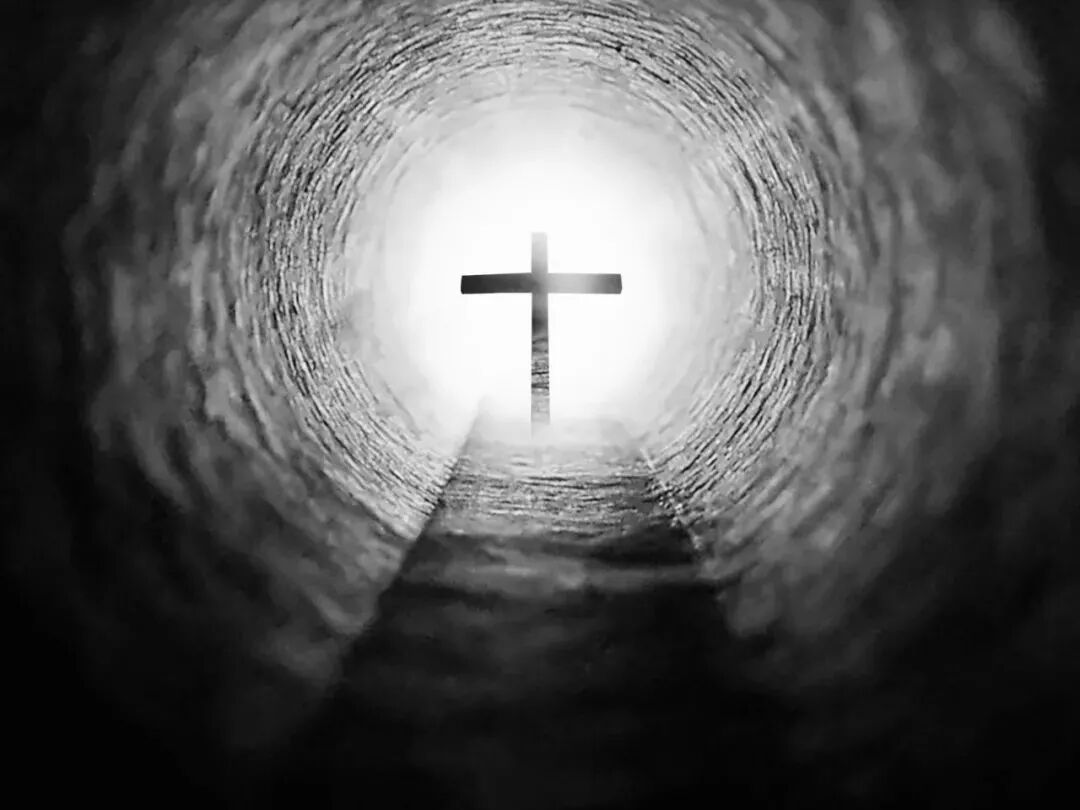 今日佳音 自由微信 Freewechat