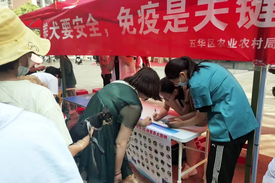 服务涵盖昆明无人机培训、昆明保安服务、昆明物业服务、昆明宠物医疗美容、昆明职业技能培训服务、昆明广告策划、昆明安防监控。