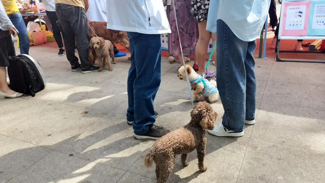 服务涵盖昆明无人机培训、昆明保安服务、昆明物业服务、昆明宠物医疗美容、昆明职业技能培训服务、昆明广告策划、昆明安防监控。