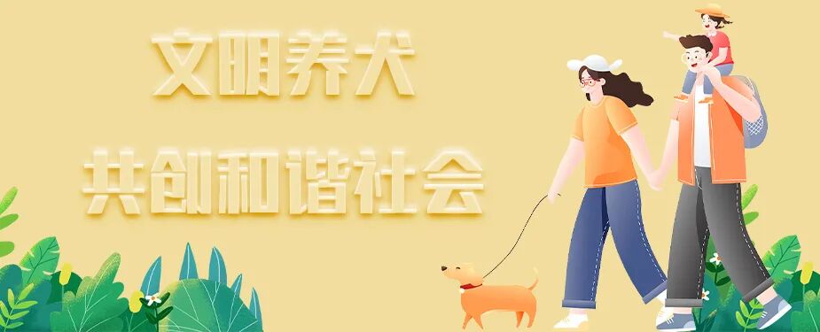 服务涵盖昆明无人机培训、昆明保安服务、昆明物业服务、昆明宠物医疗美容、昆明职业技能培训服务、昆明广告策划、昆明安防监控。