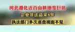 “唐马”刚给唐山提升点好感，“盗采”一事又直接让唐山回到了“6·10”阶段，“大唐山”太难了……