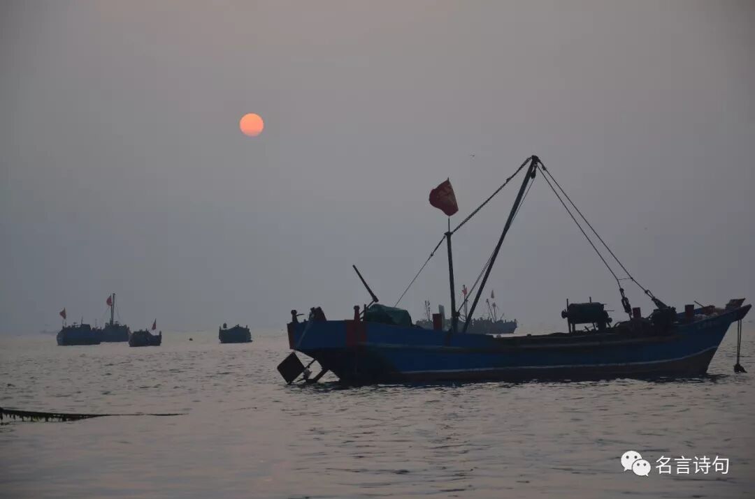 石城岛 奇在石 美在鸟 名言诗句 微信公众号文章阅读 Wemp