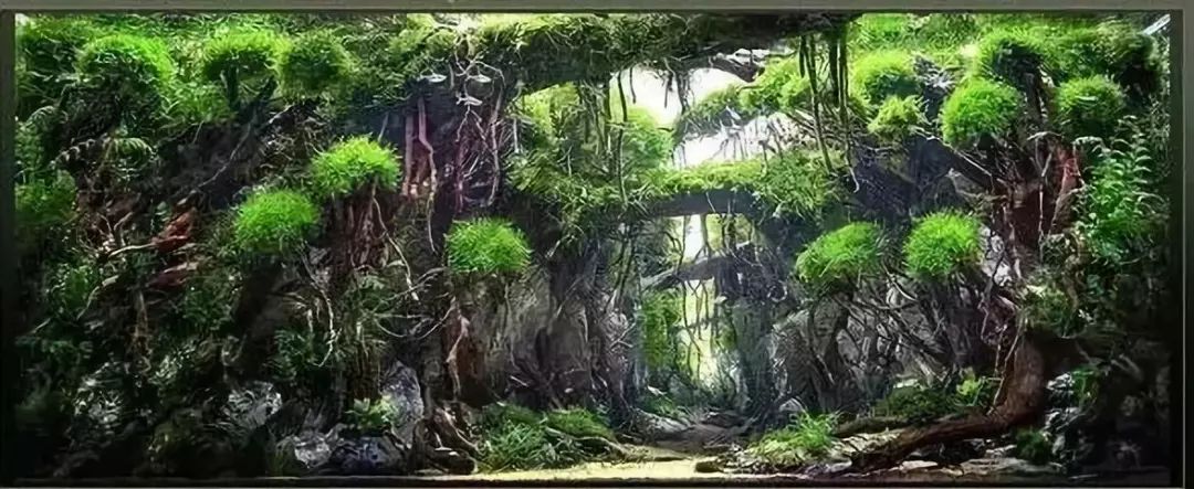 青千层石鱼缸造景_香薰石放入鱼缸造景对鱼有没有害_鱼缸石造景