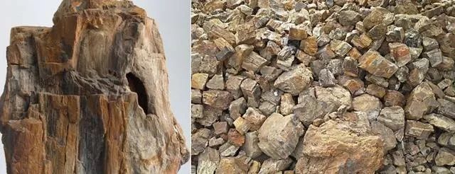 香薰石放入鱼缸造景对鱼有没有害_鱼缸石造景_青千层石鱼缸造景