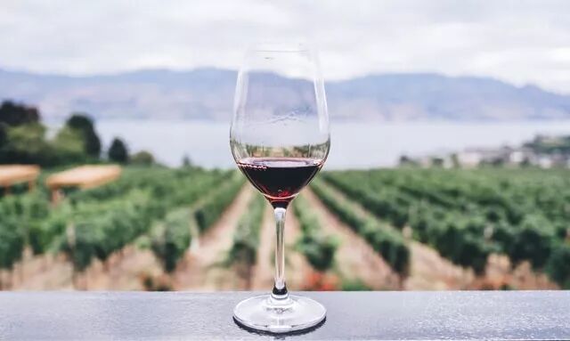 葡萄酒礼仪 | 品酒时怎能不知如何选杯子？