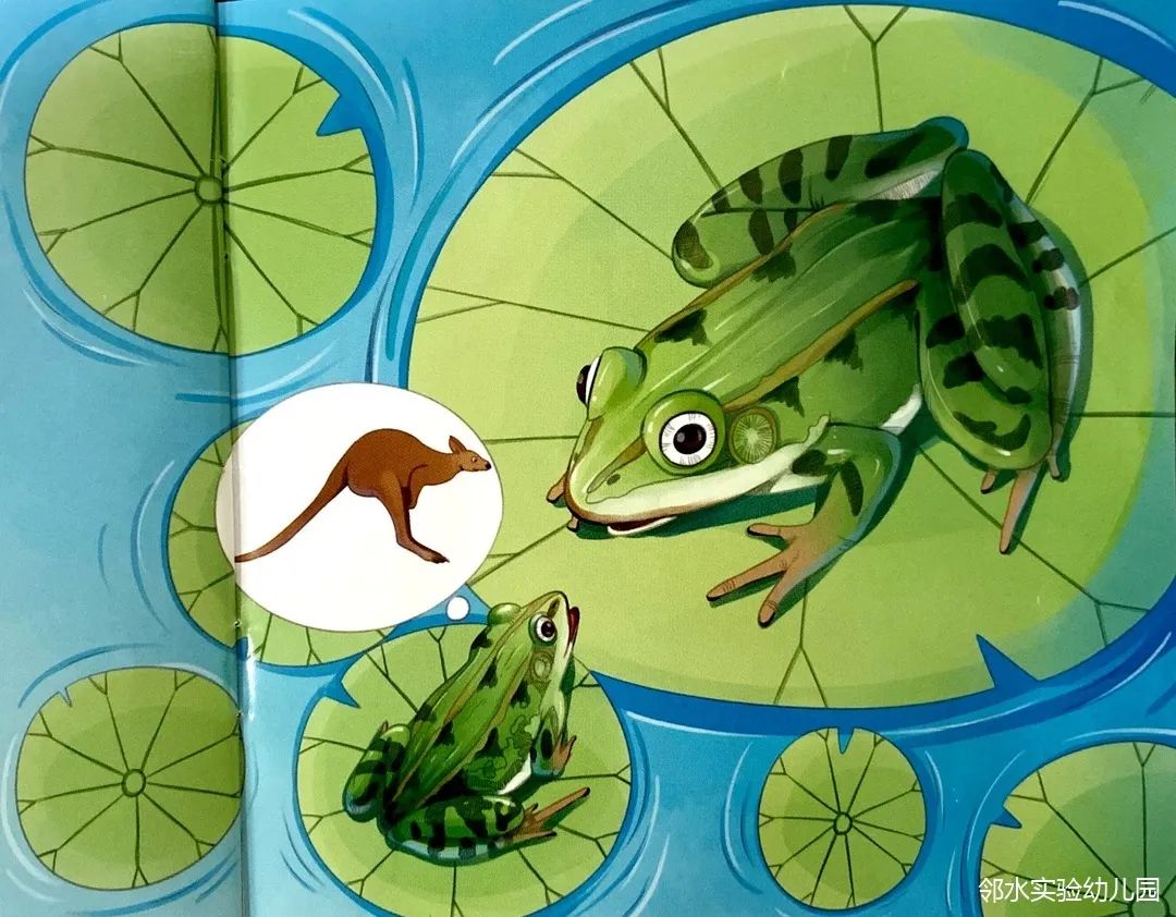 《青蛙》是一本《迷你自然博物馆》系列里的科普绘本故事
