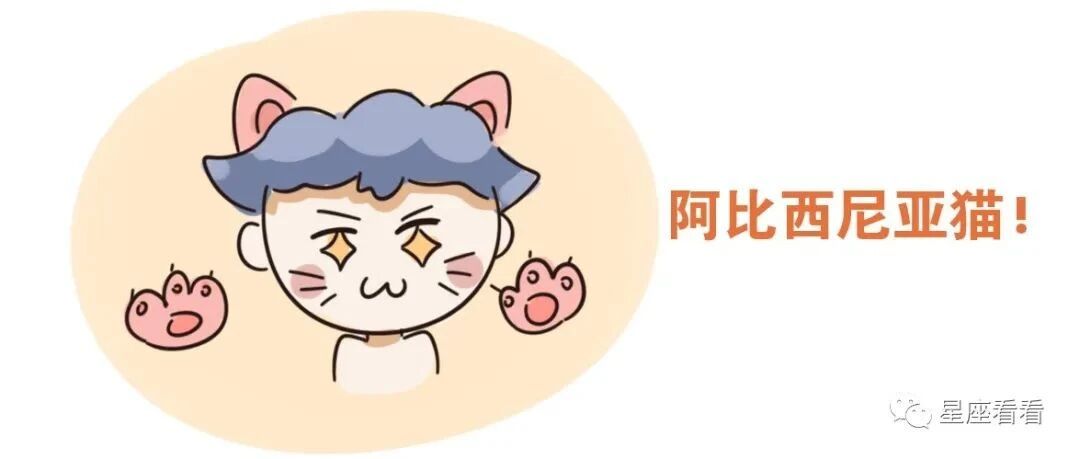十二星座是什么小猫咪？