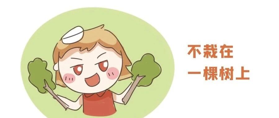 单身越久越快乐的星座!