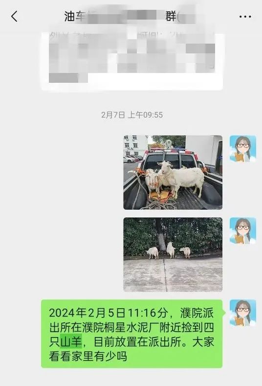 男子走丢4只山羊找回竟变6只