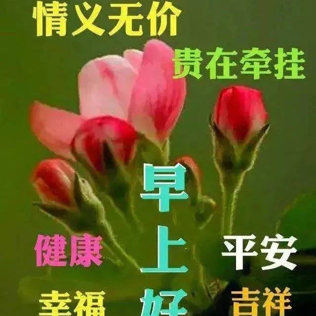 珍惜每分每秒，天天拥有好心情！