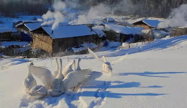 十年之約，長白山見 旅遊 第40張