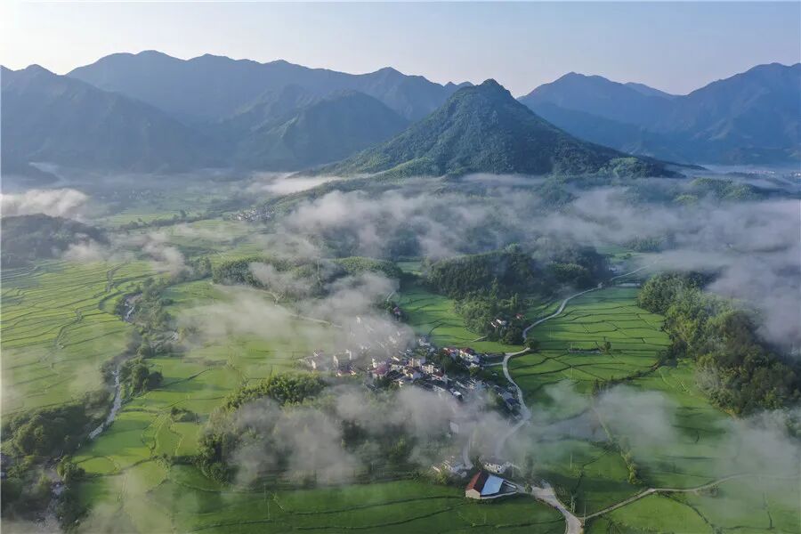 怎么可以错过（大()宏()）宏大投资集团，(图3)