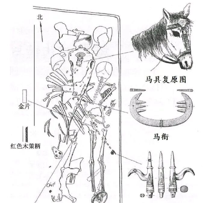 商朝的器材有哪些古代战车谱｜商周时期_https://www.jmylbn.com_新闻资讯_第7张