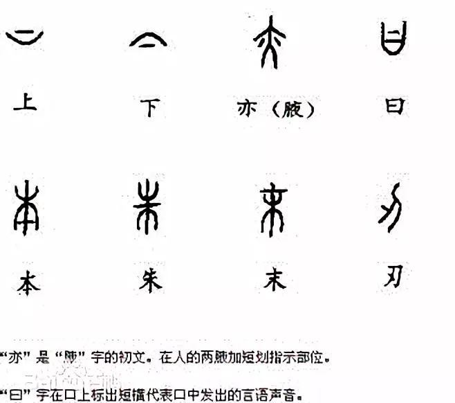 如何区别形声字 象形字 会意字和指事字 小学语文网 微信公众号文章